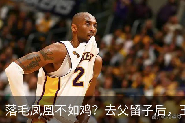 落毛凤凰不如鸡?去父留子后,王鸥回应无戏可拍,坦言走上另一条路